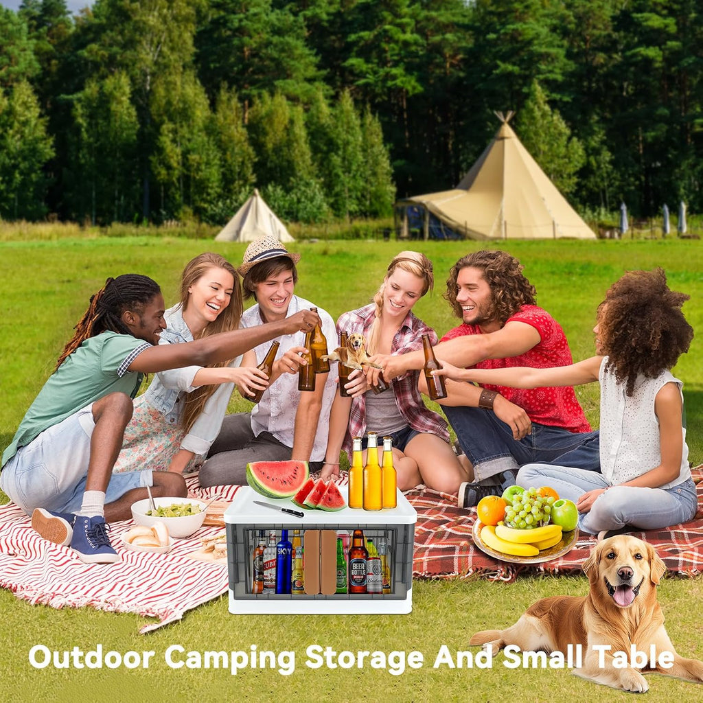 Storage Bin, Plastic Cabinet, 8.4 Gallon Capacity (32L Per One), 2 Pack