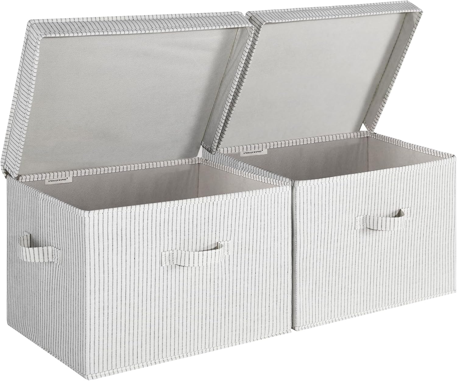 Fabric Storage Bins with Lid, 2-Pack