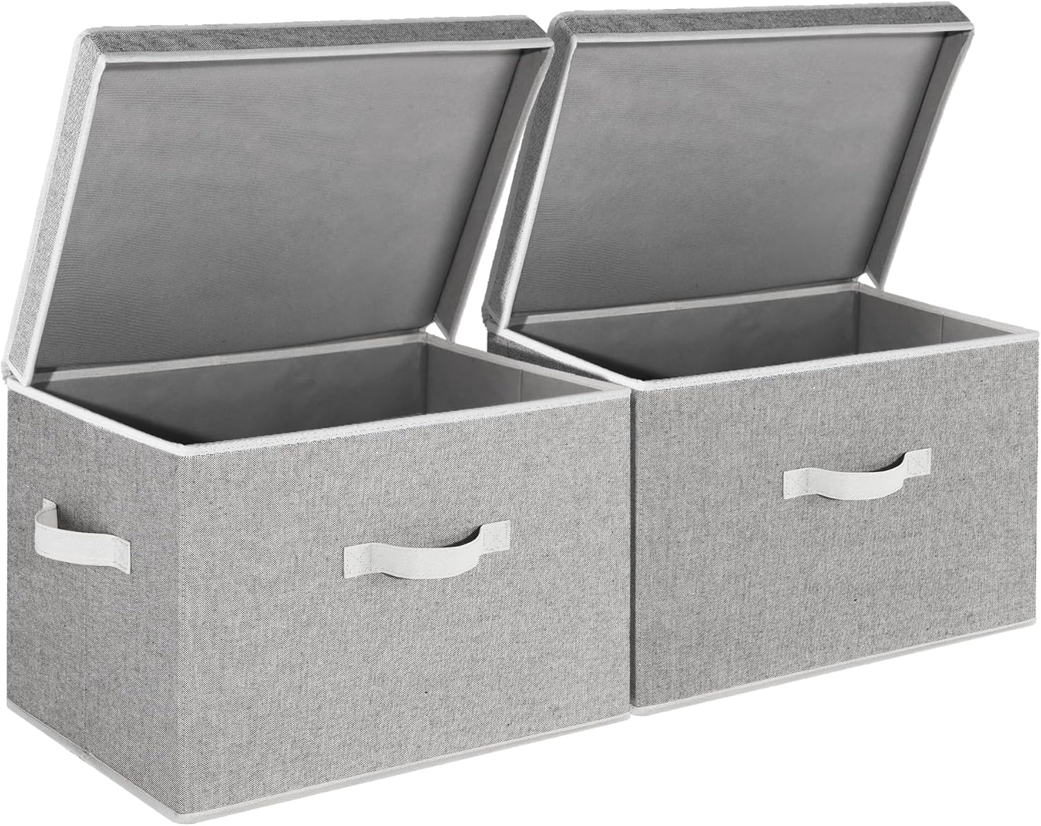 Fabric Storage Bins with Lid, 2-Pack